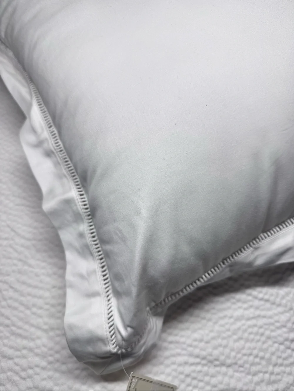 Southern Living White Sateen 20x20 Decorative Pillow NWT